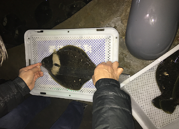 点击浏览下一页