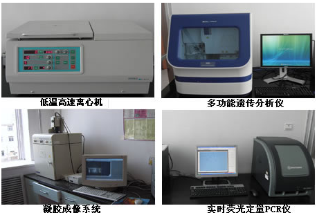 360截图16510925106152128.png